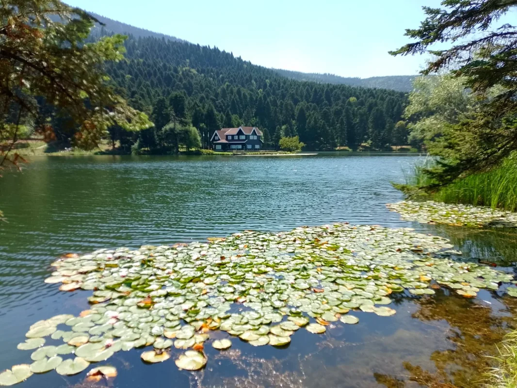 IMG-20240909-WA0017.webp