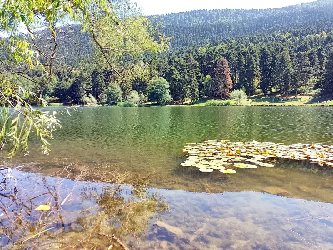 IMG-20240909-WA0025.webp