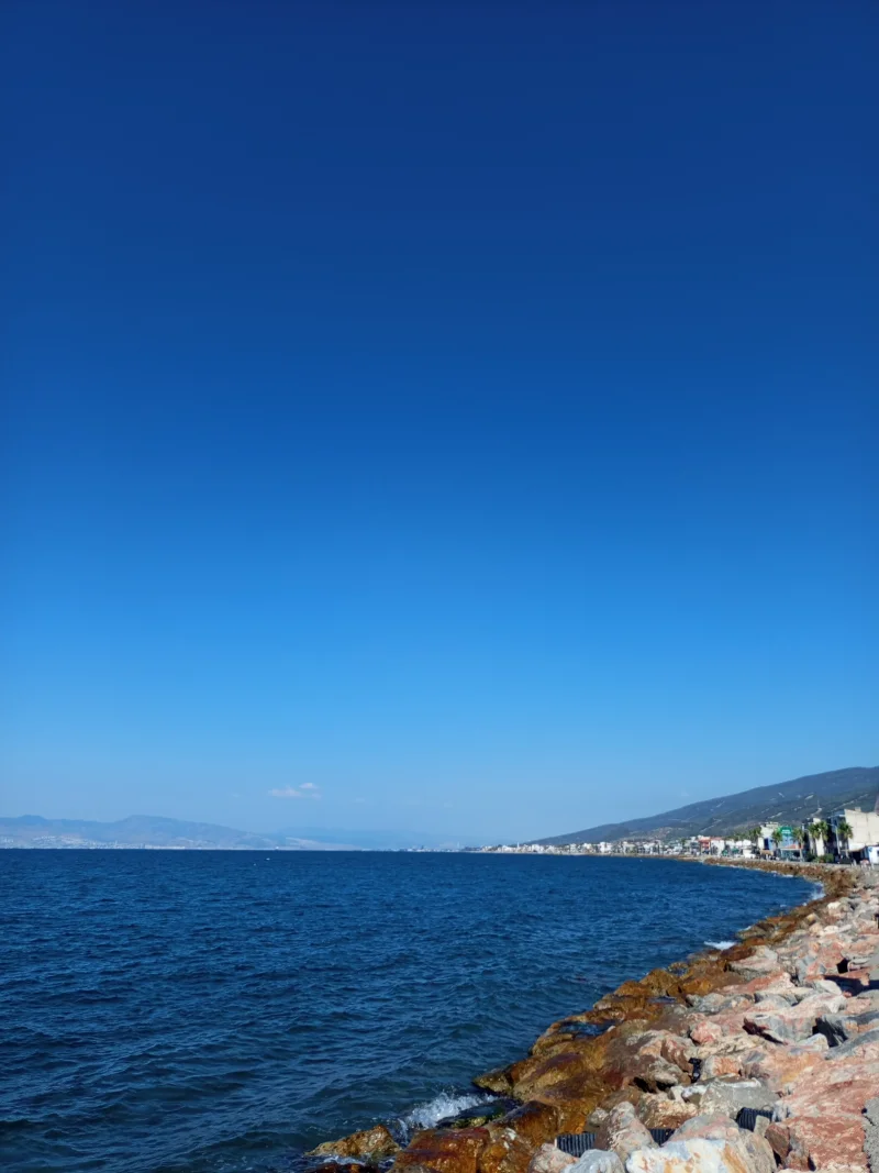 IMG_20250804_164110_209.webp