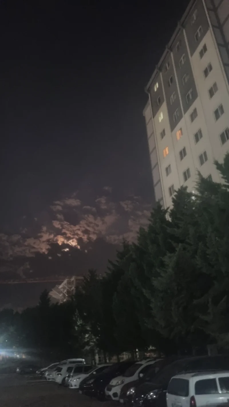 20250804_225619.webp