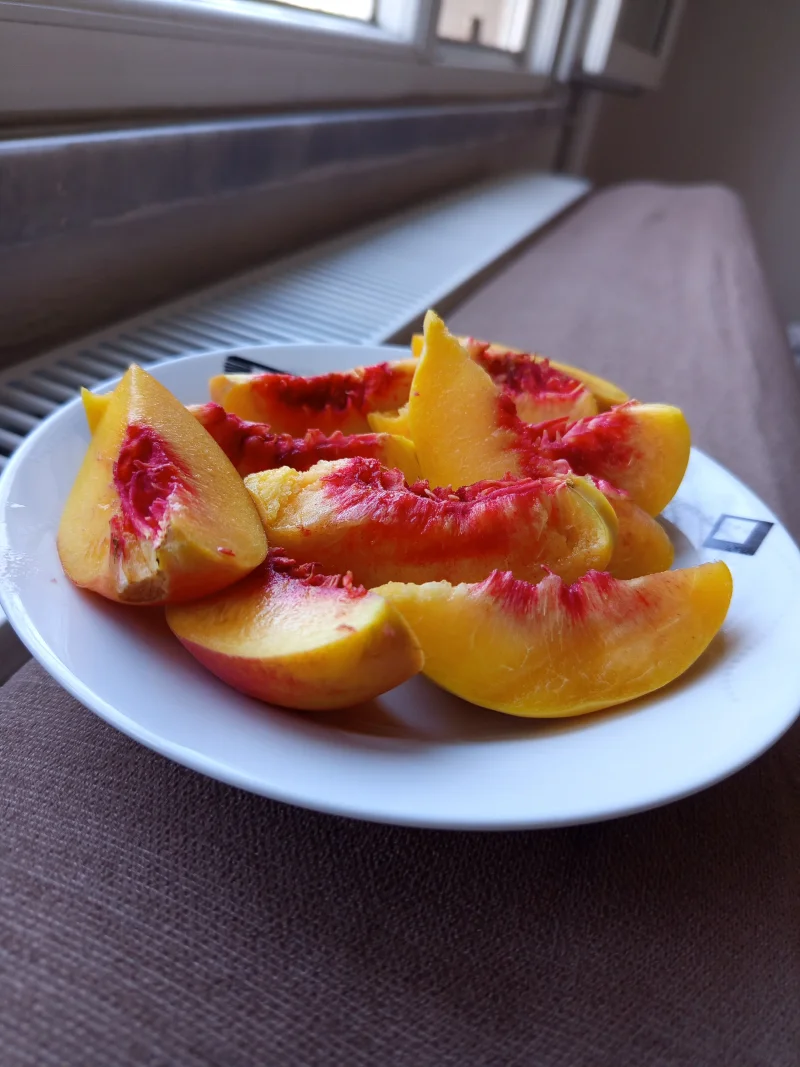 IMG_20250811_163705.webp