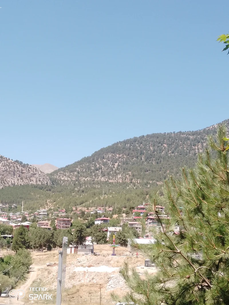 Konu 'Adana Tekir Yaylası'