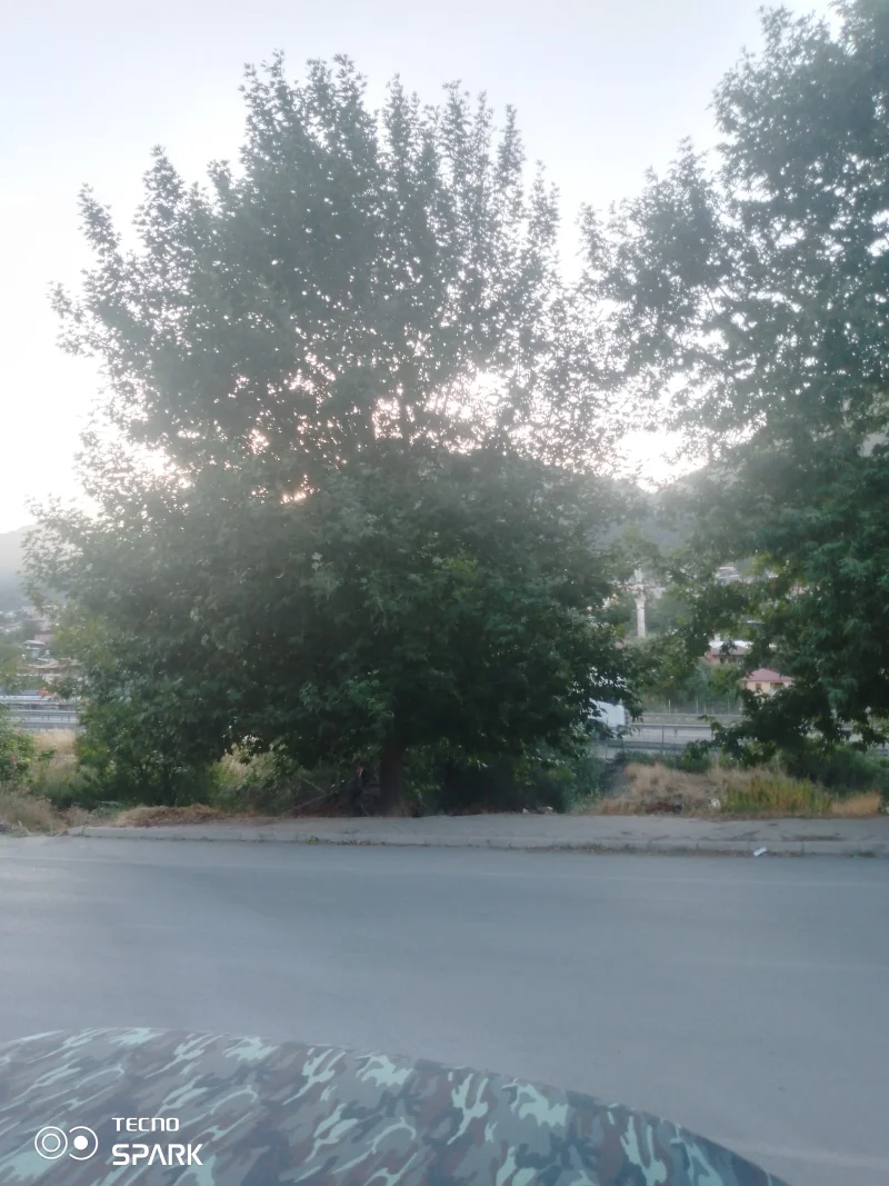 IMG_20250813_184216_806.webp