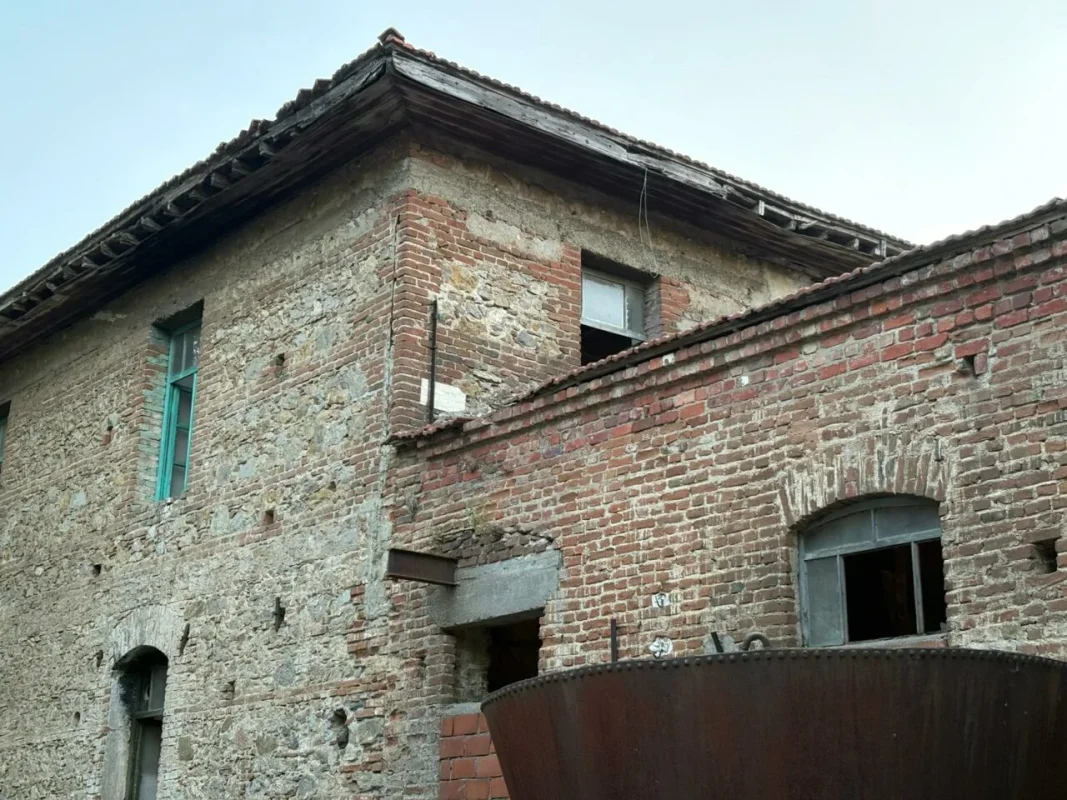 tirilye_zeytinyagi_muze_3.webp