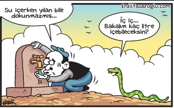 Ekran görüntüsü 2025-08-17 185535.webp