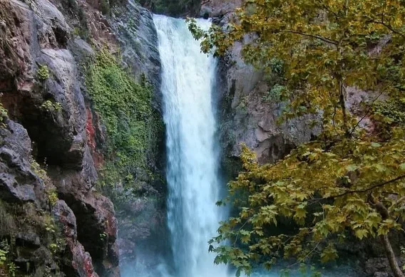 SaveClip.App_528000457_18010517840776847_1637917414695981019_n.webp