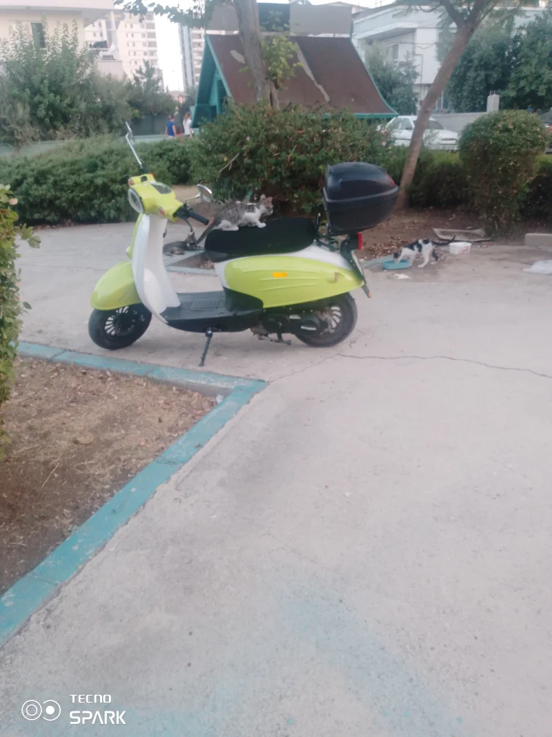 IMG_20250824_190450_166.webp
