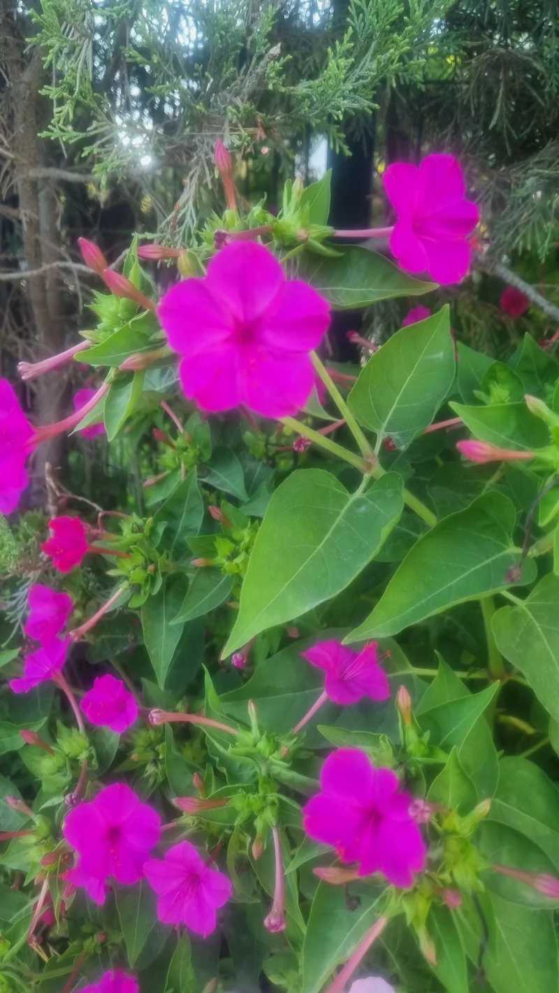 20250824_183640.webp