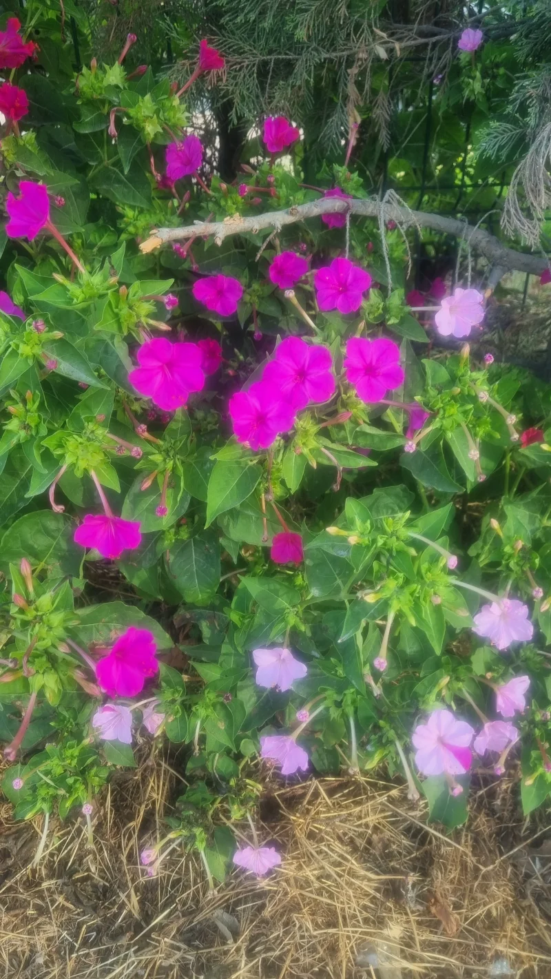 20250824_183646.webp