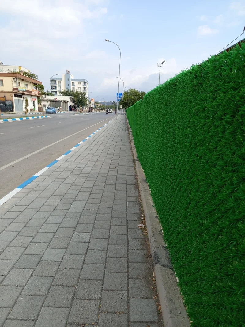 IMG_20250826_163810.webp