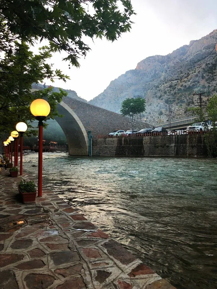 36bd2ce5176767818cb5286ec8fd98c3.webp 36bd2ce5176767818cb5286ec8fd98c3.webp