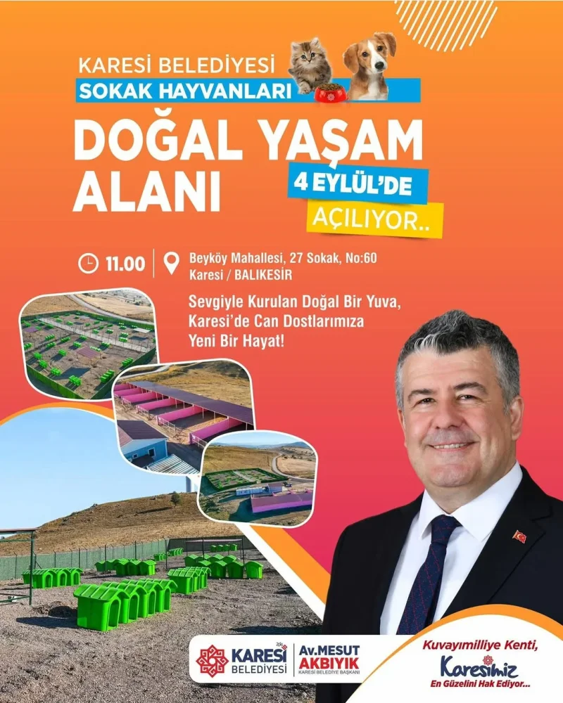 541950995_17912834991191125_842267102014218980_n.webp 541950995_17912834991191125_842267102014218980_n.webp