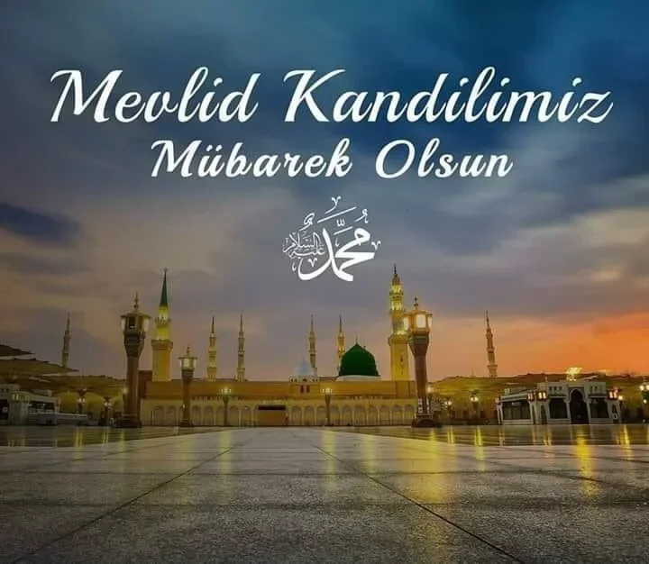 a8191f94177a9c51b1481f80649ae2b7.webp