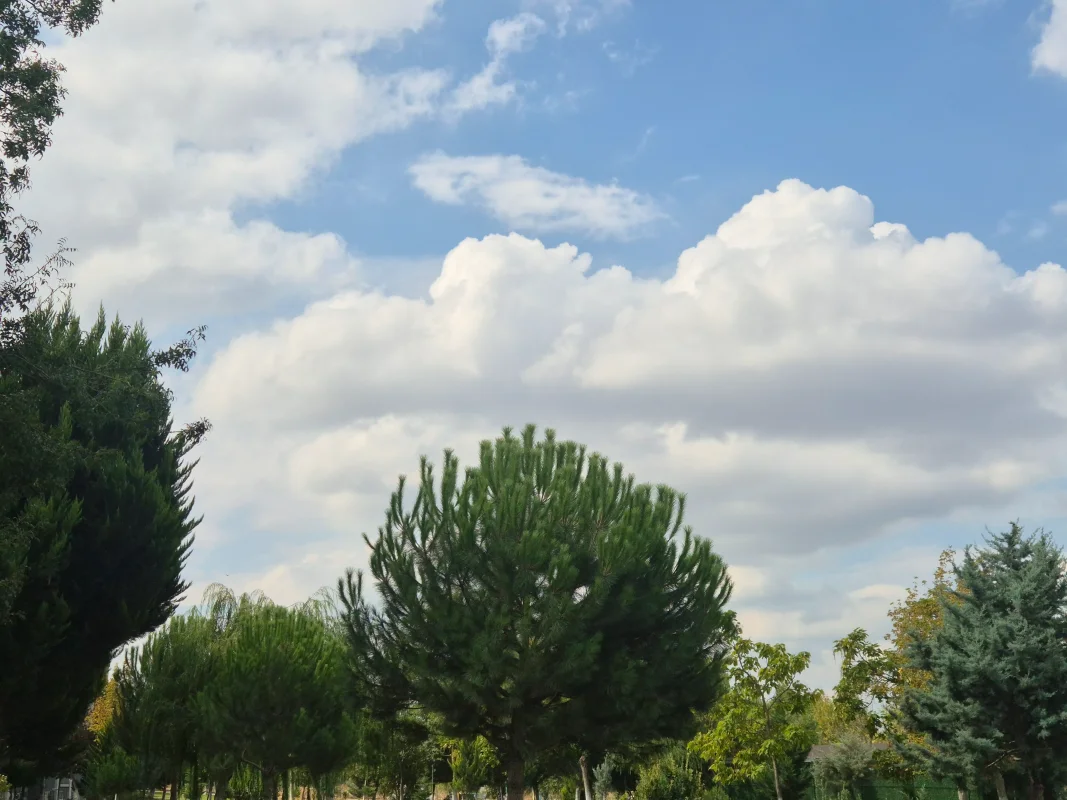 20250907_110045.webp