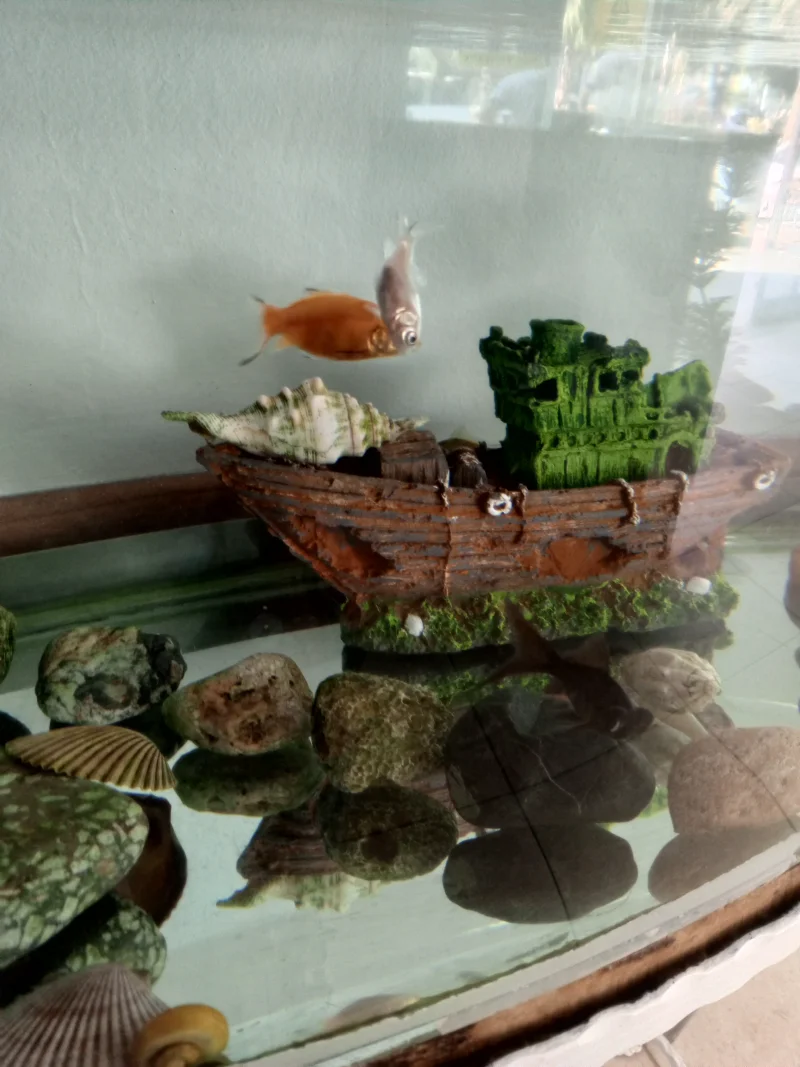 IMG_20250913_103524_184.webp