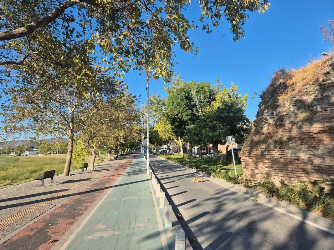 20250916_173918.webp 20250916_173918.webp