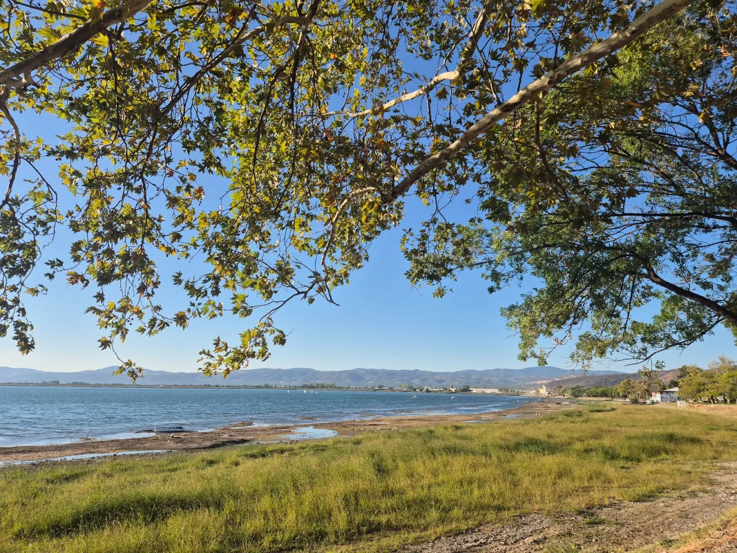 20250916_174101.webp 20250916_174101.webp