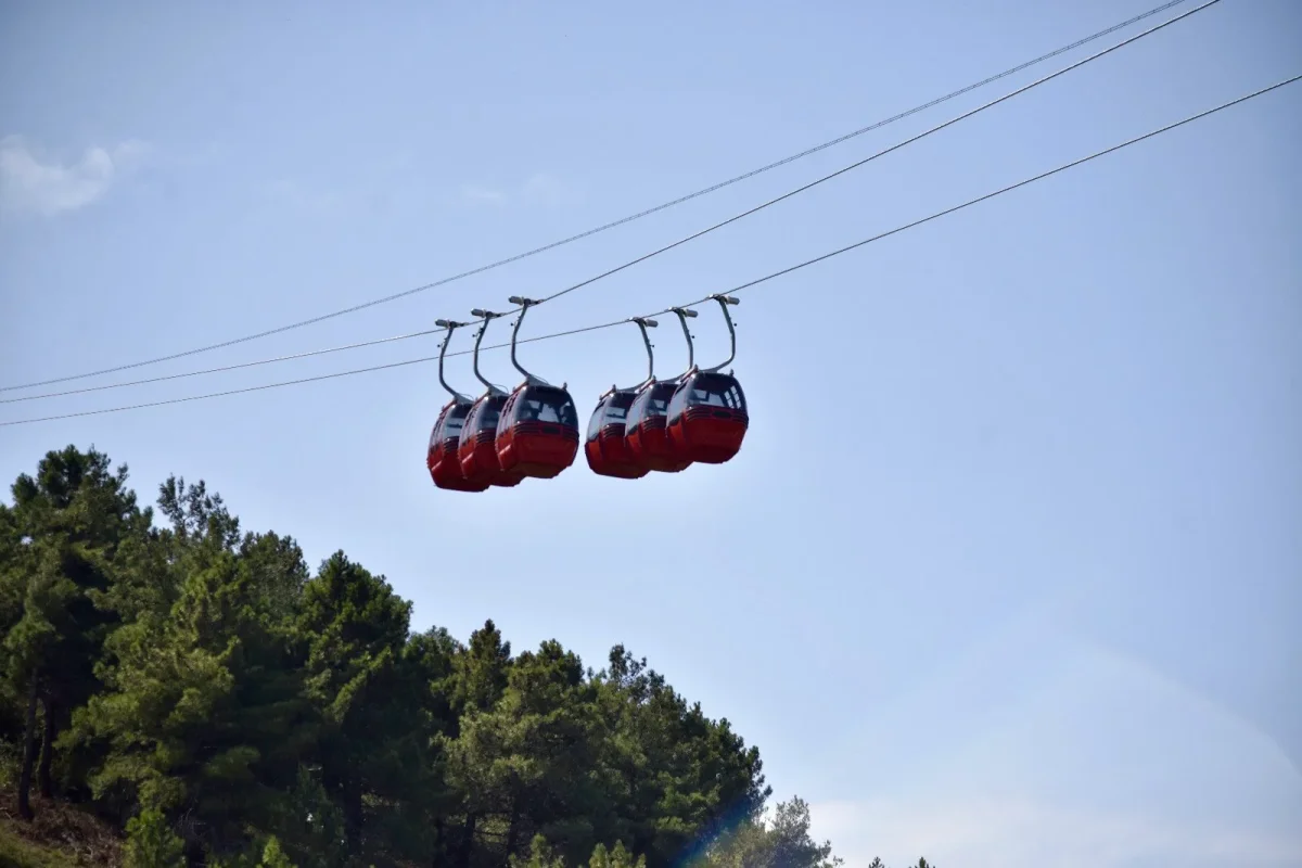 20250923_212421.webp 20250923_212421.webp