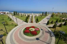 images - 2024-11-24T164302.230.webp