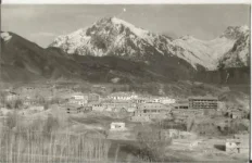 images - 2024-11-24T191603.242.webp