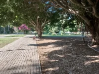IMG_20240922_160215_HDR.webp