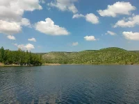 1733099955663.webp