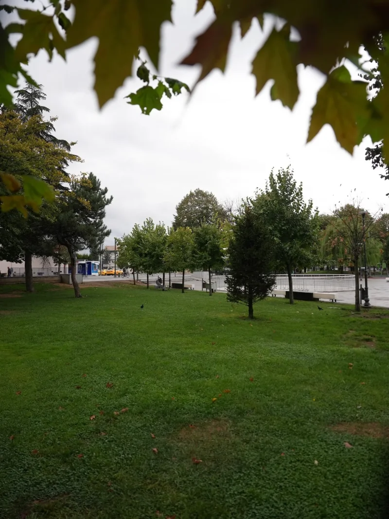 20250926_221547 (1).webp