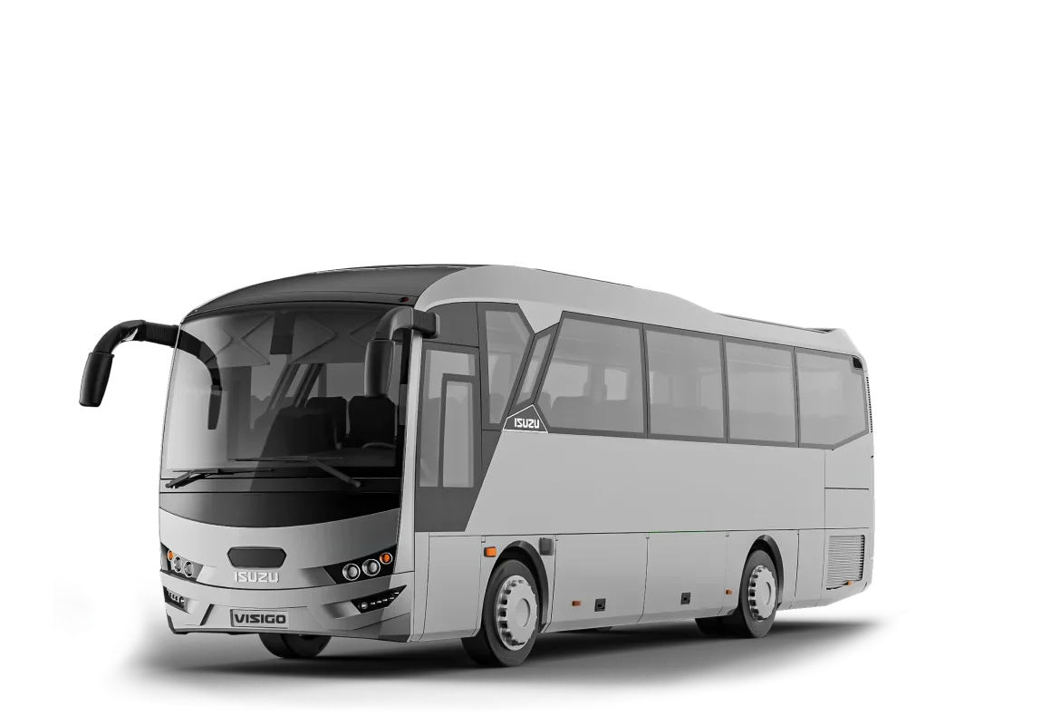 Visigo1.webp