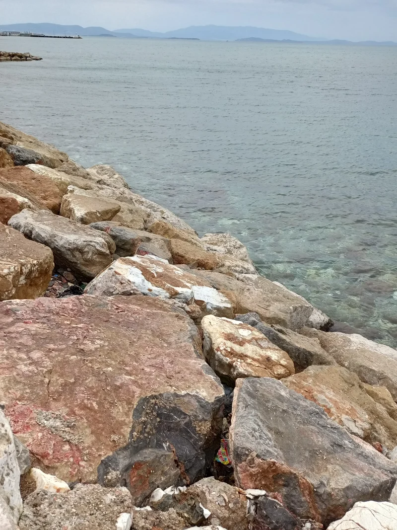 IMG_20251002_165522_001.webp