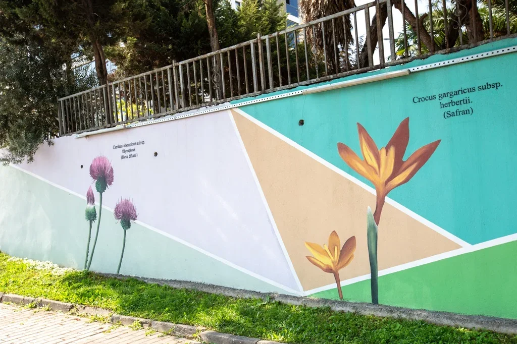 36186_MTY4ZTYxYz_1.webp 36186_MTY4ZTYxYz_1.webp