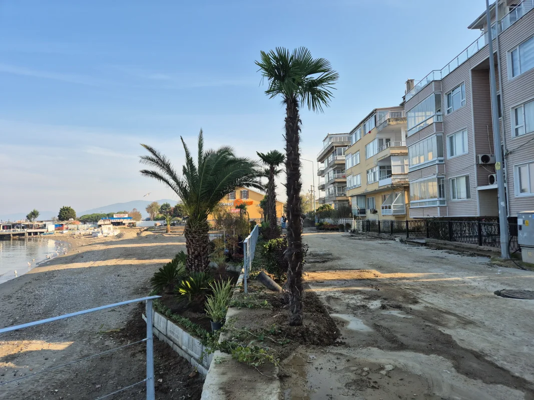 20251103_153809.webp 20251103_153809.webp