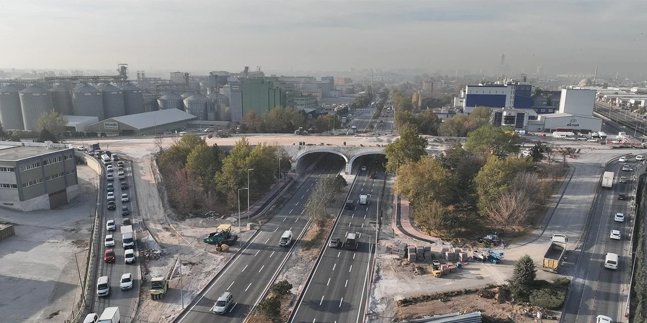 175206.webp 175206.webp