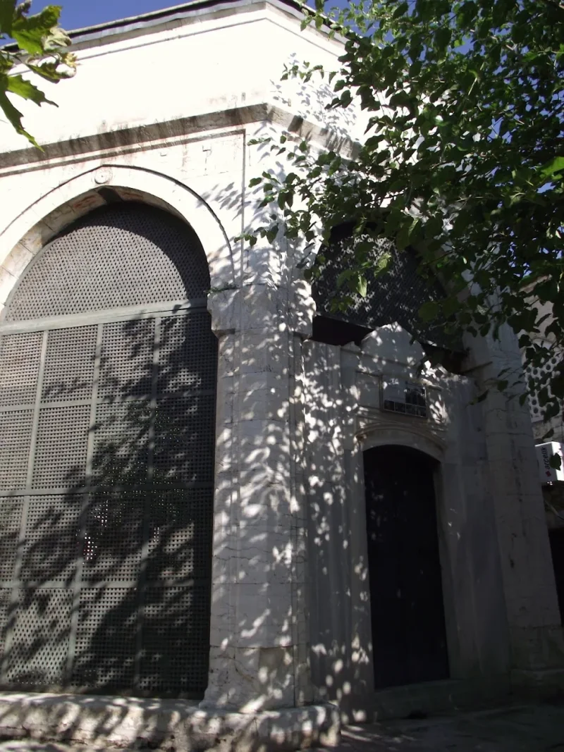 unnamed.webp unnamed.webp