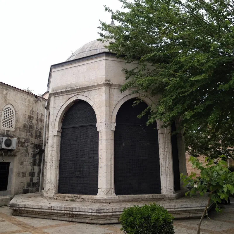 unnamed (1).webp unnamed (1).webp