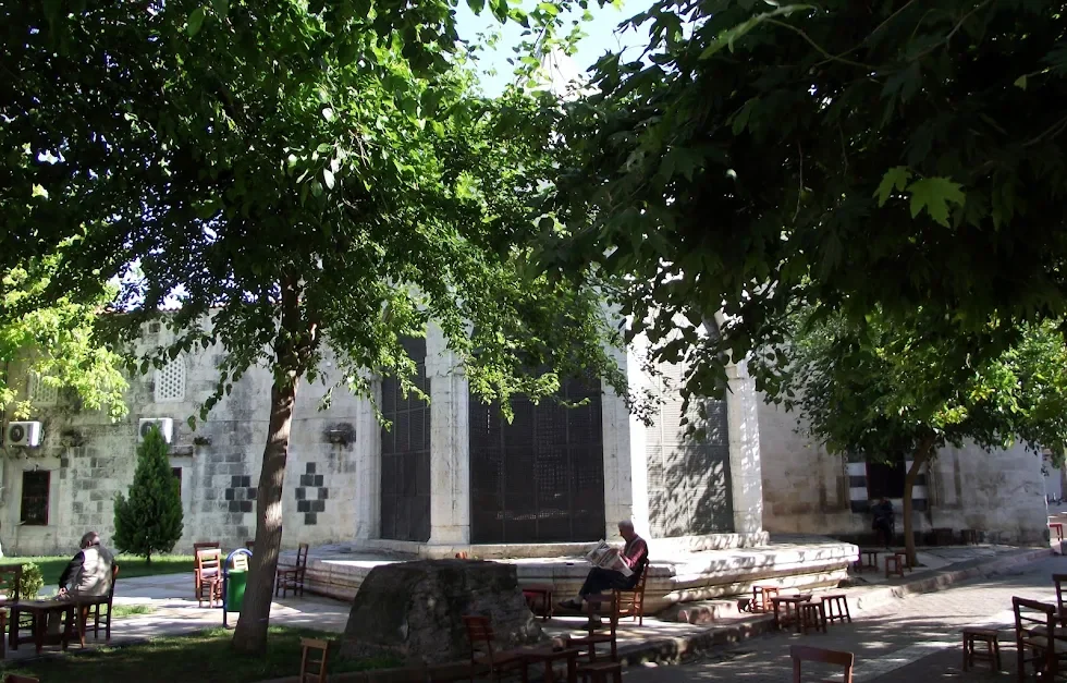 unnamed (2).webp unnamed (2).webp