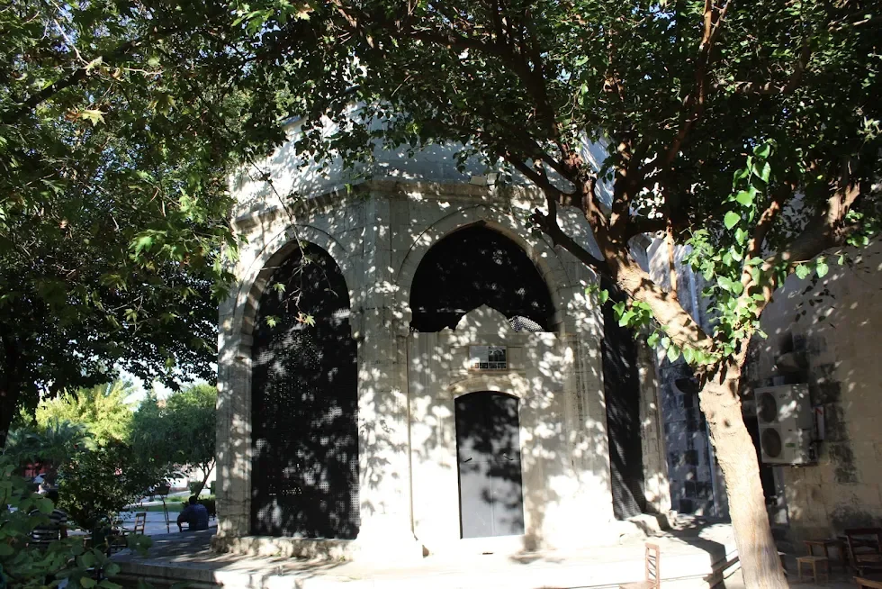 unnamed (3).webp unnamed (3).webp