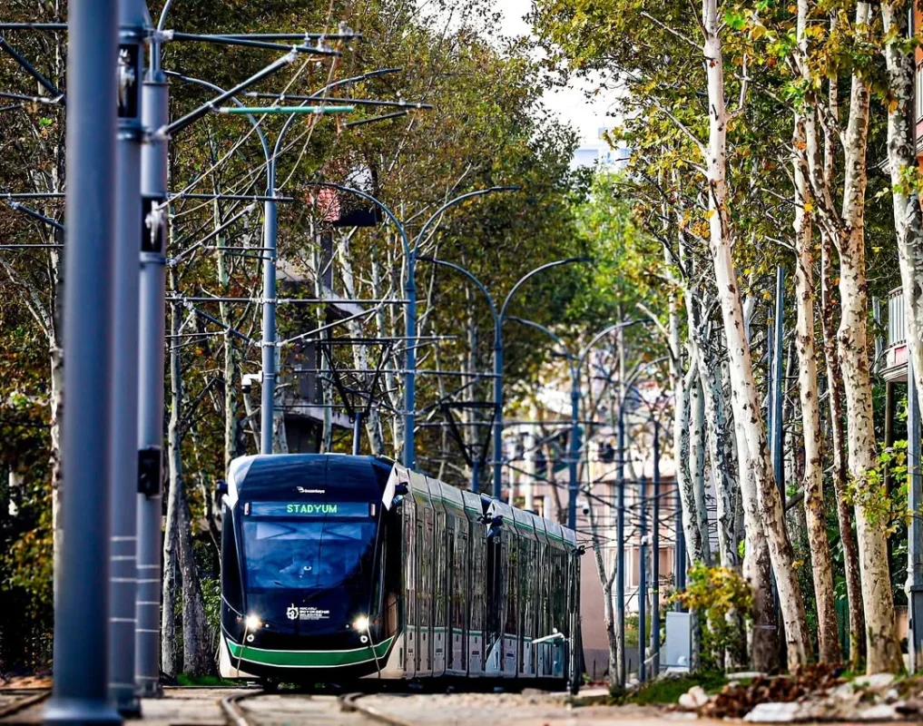 Akçaray’da sonbahar🍁Sararan ağaçların gölgesinde, rayların melodisi….webp