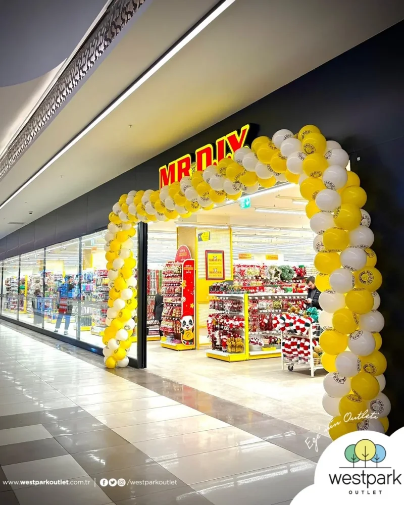 image.webp image.webp