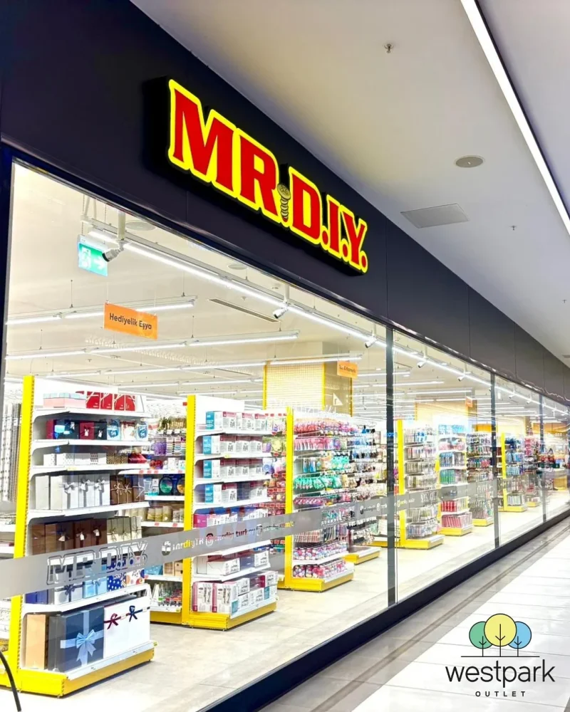 image.webp image.webp