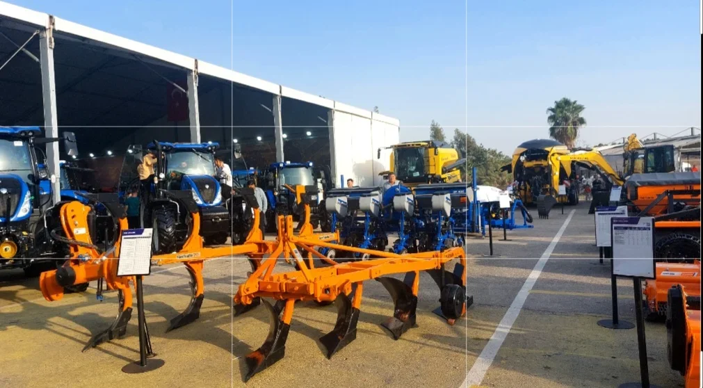 Screenshot_20251113_215120_Photo Editor.webp