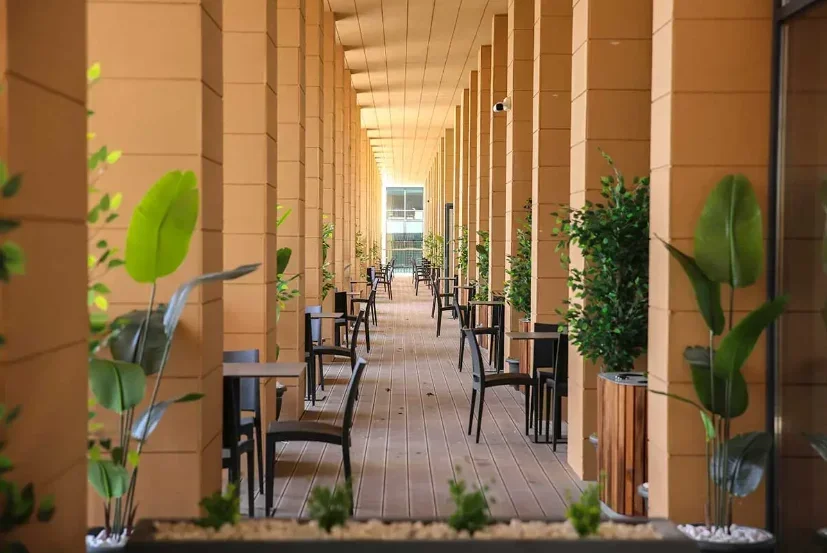 belpa2.webp belpa2.webp