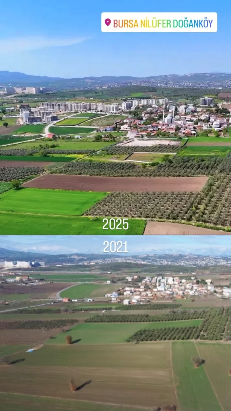 WhatsApp Image 2025-11-26 at 08.12.46.webp WhatsApp Image 2025-11-26 at 08.12.46.webp