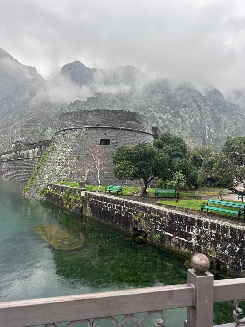 cc4aee96-3f23-4e2a-b417-3f4c9691a32e.webp cc4aee96-3f23-4e2a-b417-3f4c9691a32e.webp