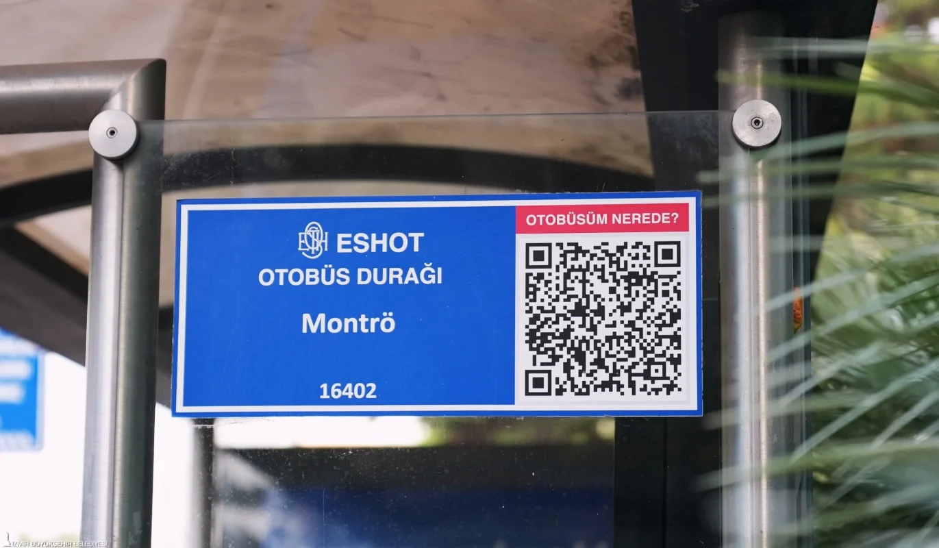 03122025_12483_3.webp 03122025_12483_3.webp