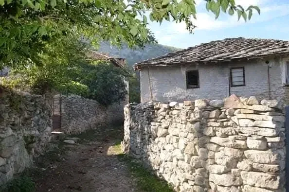 1764827474458.webp 1764827474458.webp