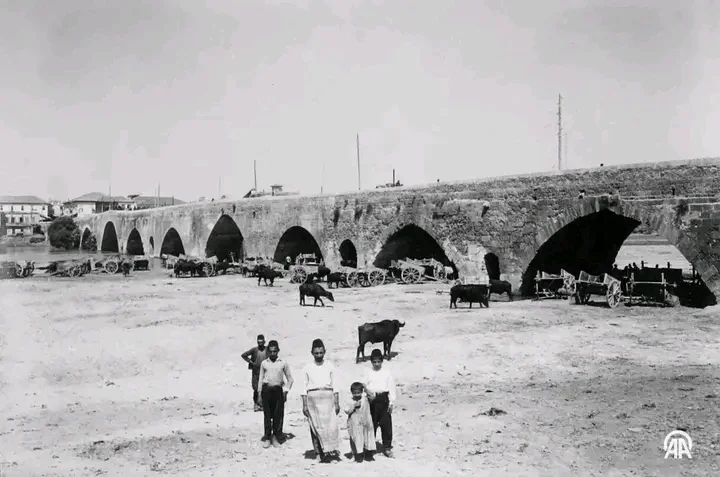 1764959041515.webp 1764959041515.webp