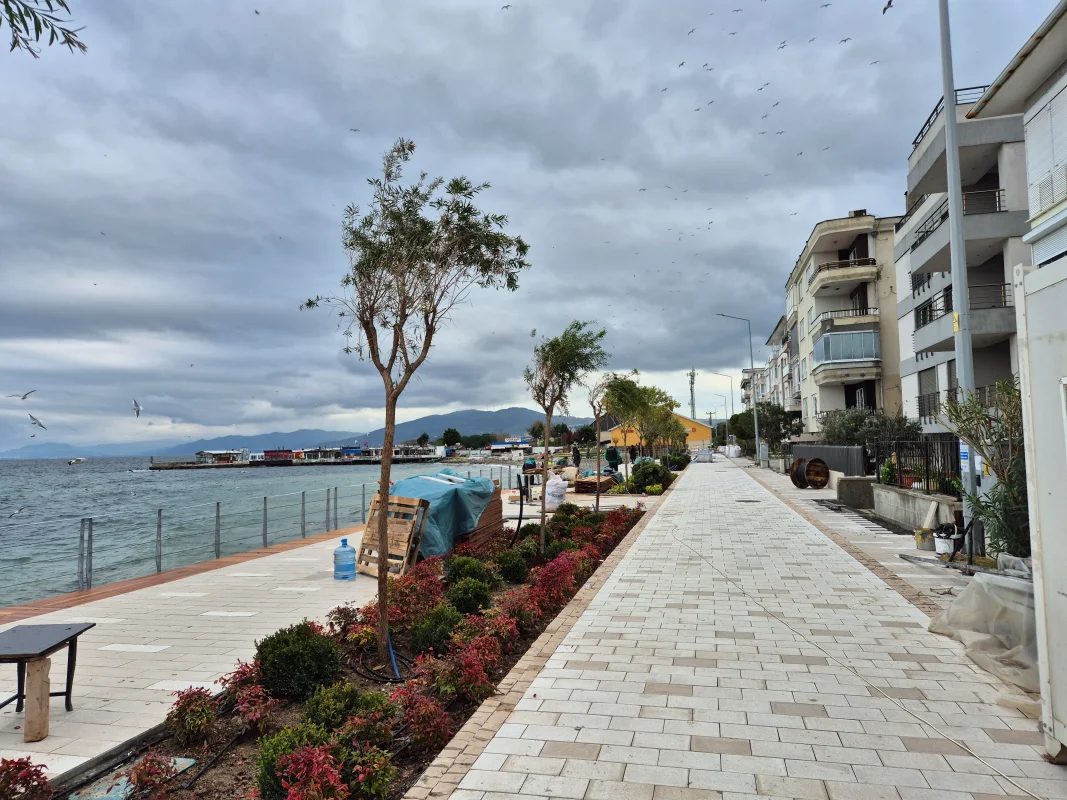 20251208_143925.webp 20251208_143925.webp