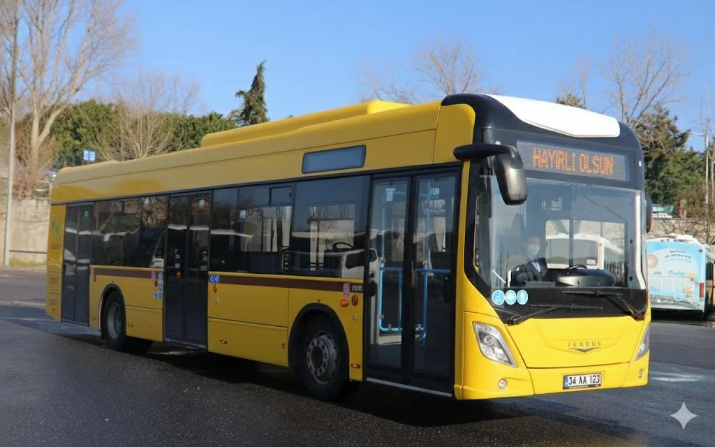 1765281138068.webp 1765281138068.webp