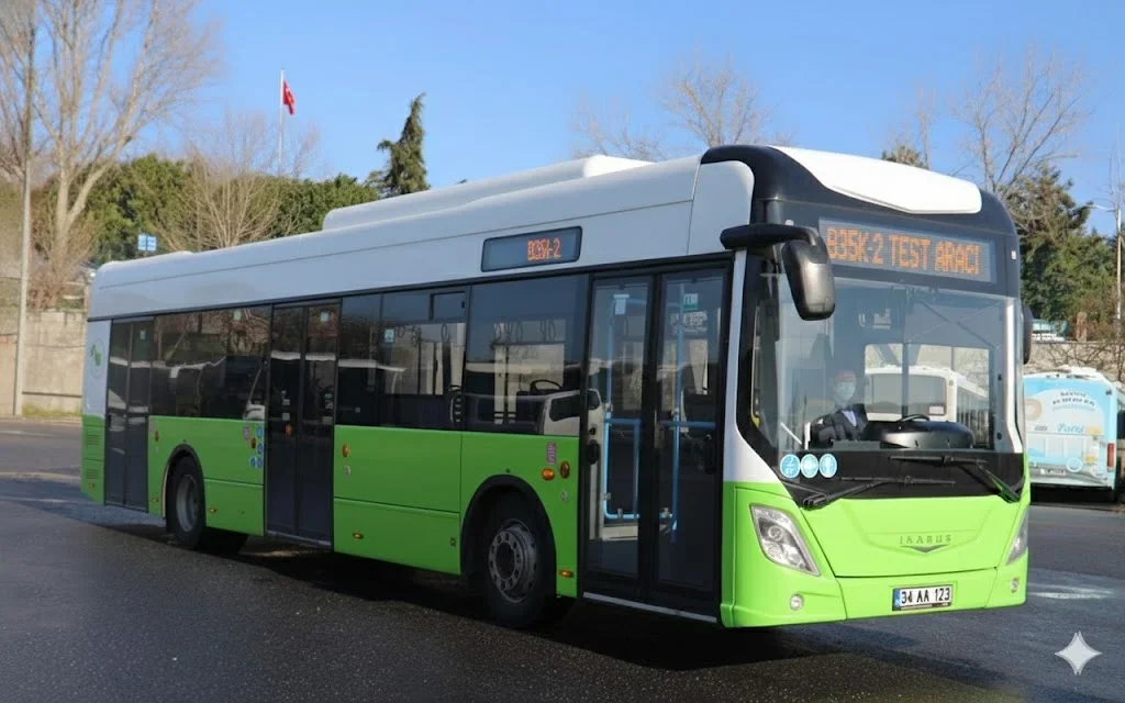 1765281220639.webp 1765281220639.webp