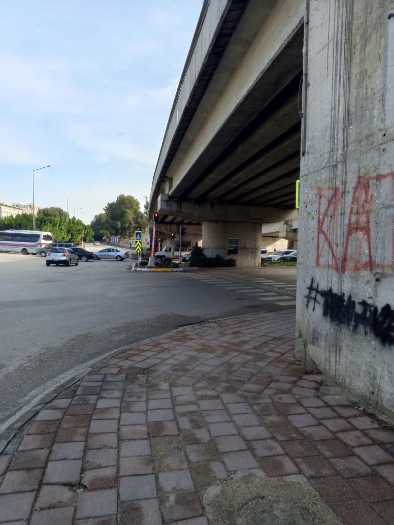 IMG_20251210_120024_722.webp IMG_20251210_120024_722.webp